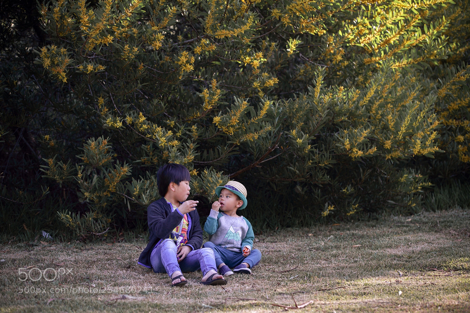 Canon EOS-1D X sample photo. Hq photography