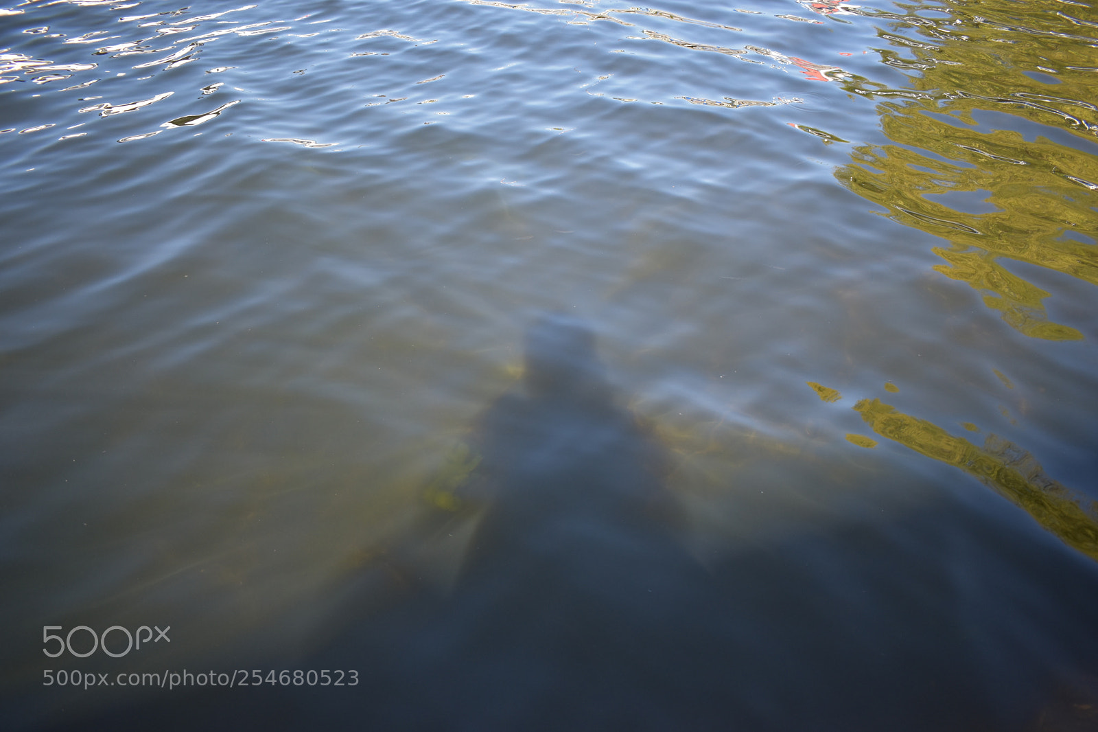 Nikon D3400 sample photo. Gone photography