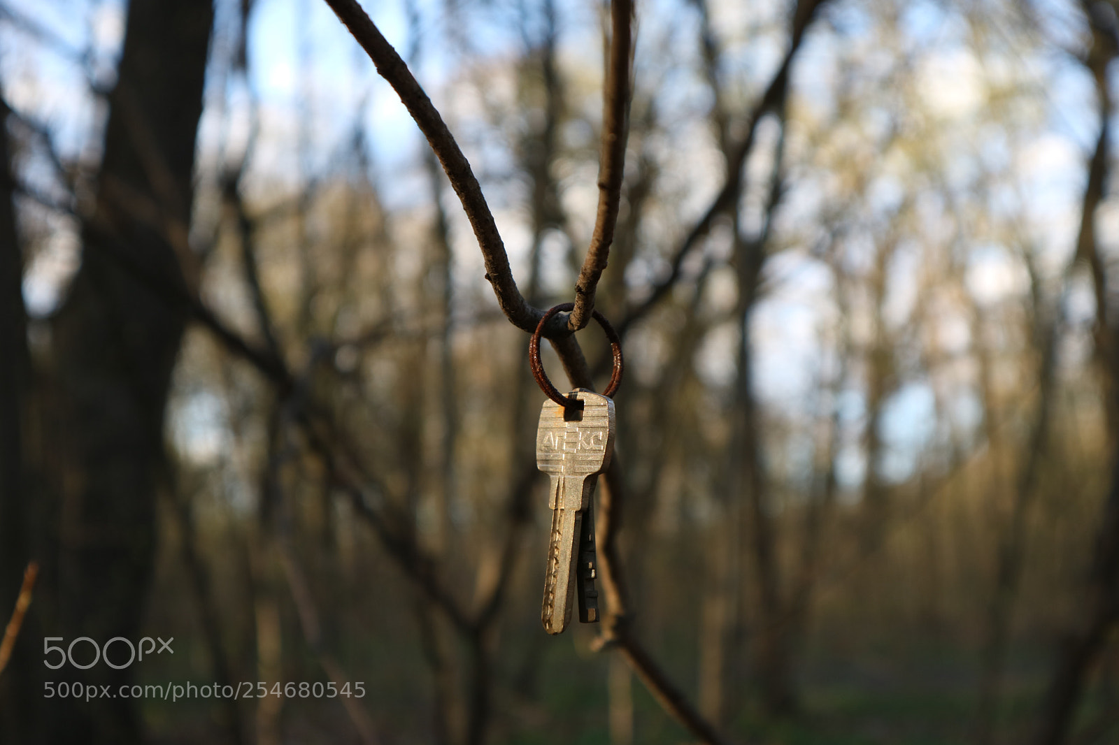 Canon EOS M3 sample photo. Untitled photography