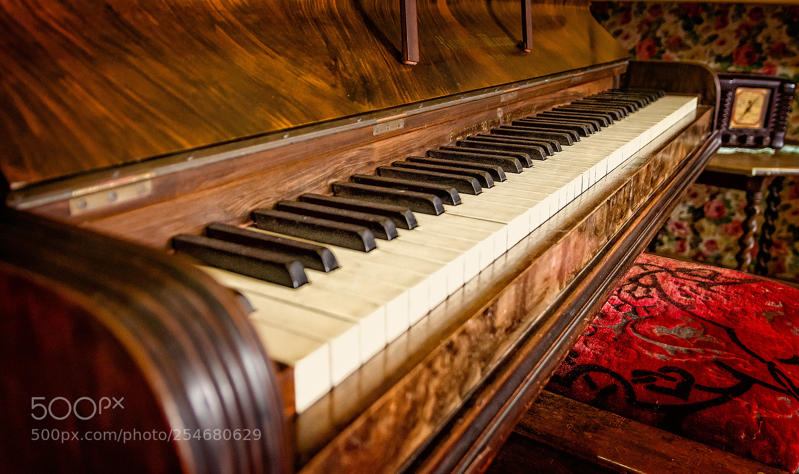 Nikon D7000 sample photo. Tickle the ivories photography