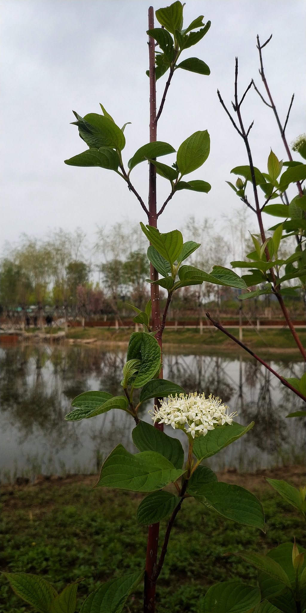 Xiaomi MIX 2 sample photo. 9 photography