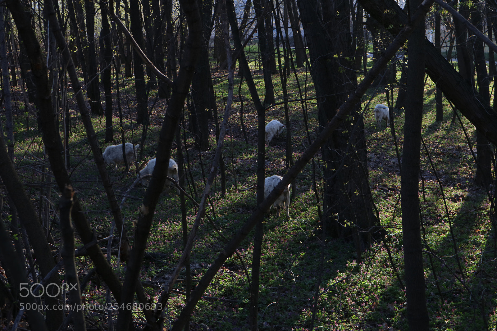 Canon EOS M3 sample photo. Untitled photography