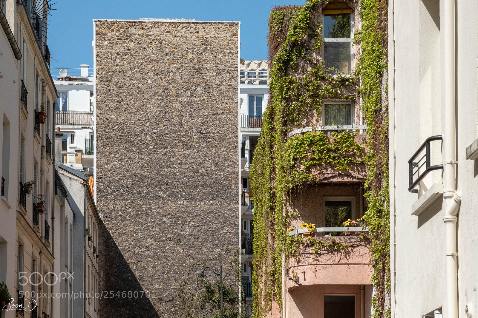 Fujifilm X-T20 sample photo. Dscf7293-3.jpg photography