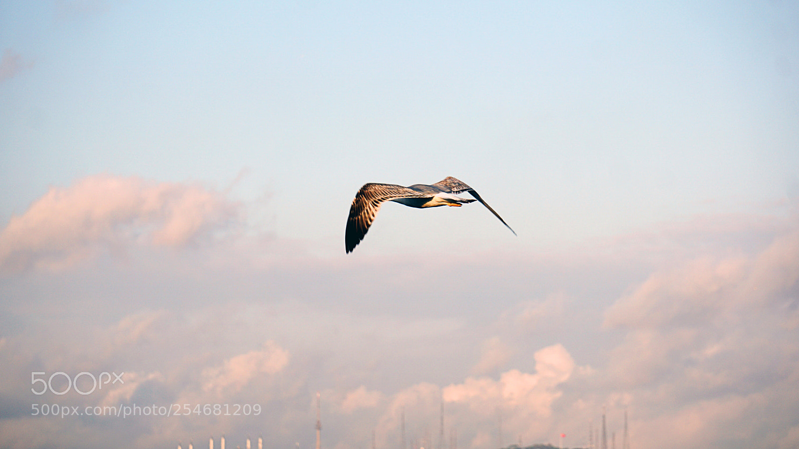 Sony a6000 sample photo. Freedom photography