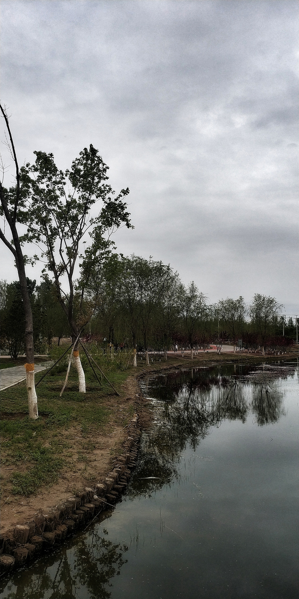 Xiaomi MIX 2 sample photo. 11 photography