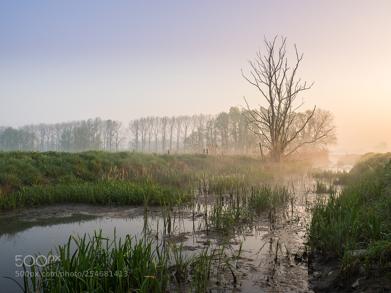 Olympus OM-D E-M1 Mark II sample photo. Up the creek photography