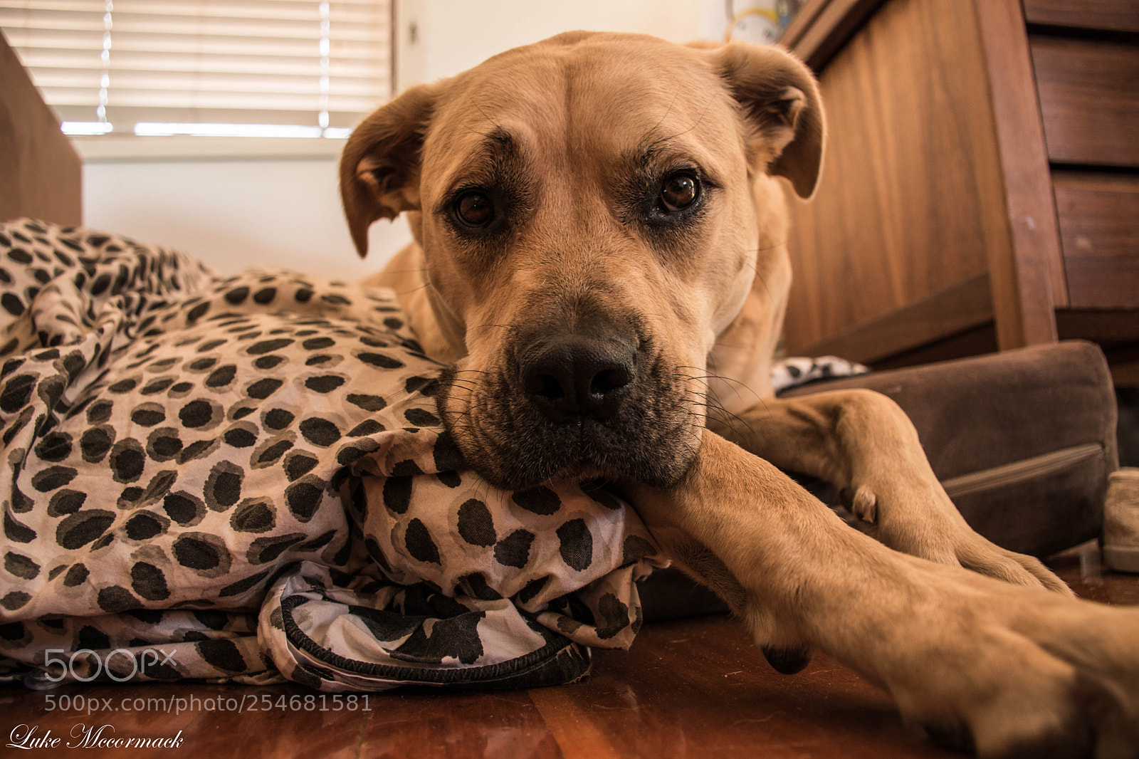 Nikon D5600 sample photo. Stretch photography