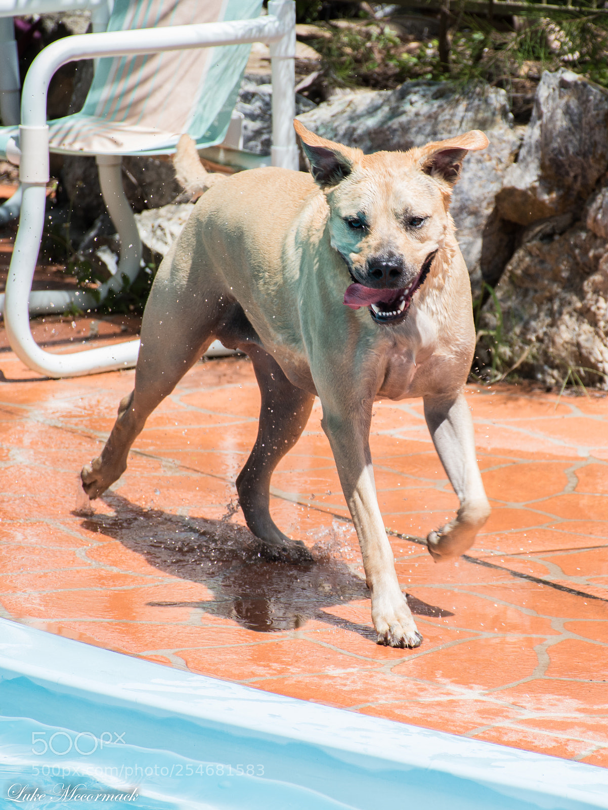 Nikon D5600 sample photo. Majestic photography
