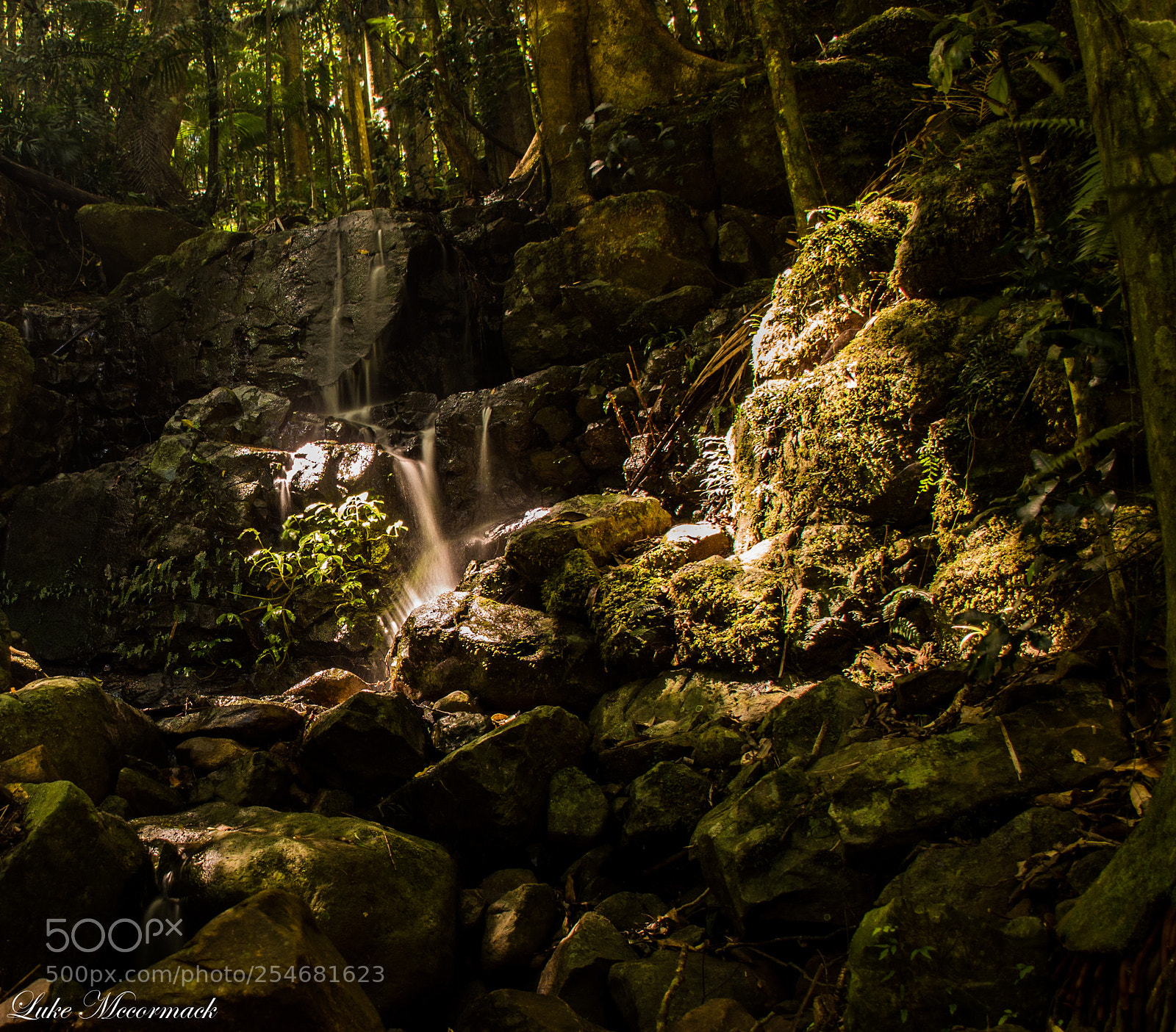 Nikon D5600 sample photo. Waterfaslls photography