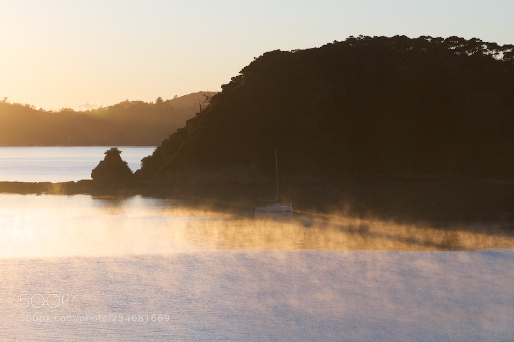 Nikon D600 sample photo. Yacht in mist at photography
