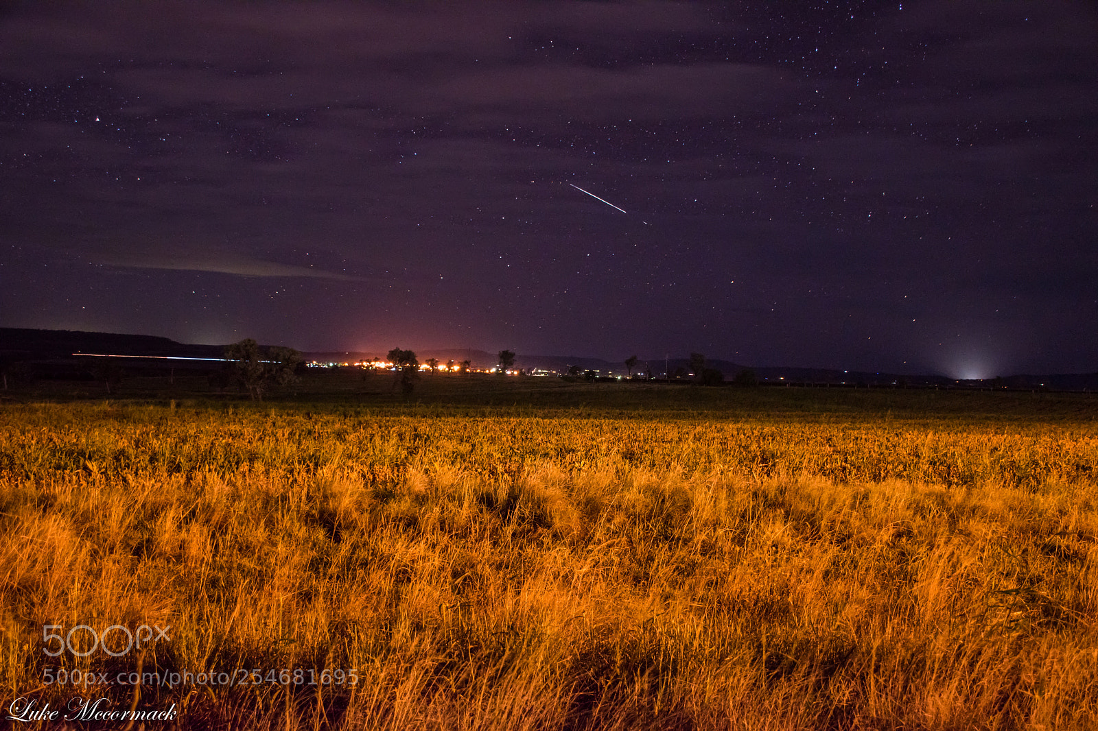 Nikon D5600 sample photo. Shooting star photography