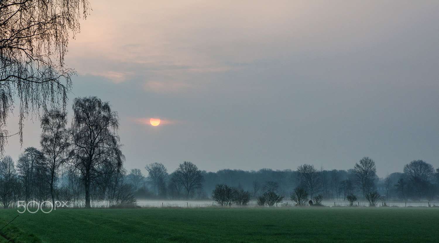 Sony Alpha DSLR-A580 sample photo. Early morning mist photography