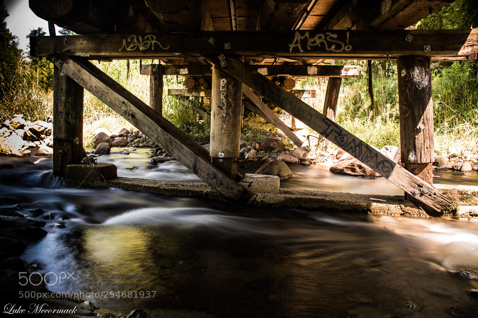 Nikon D5600 sample photo. Bridges photography