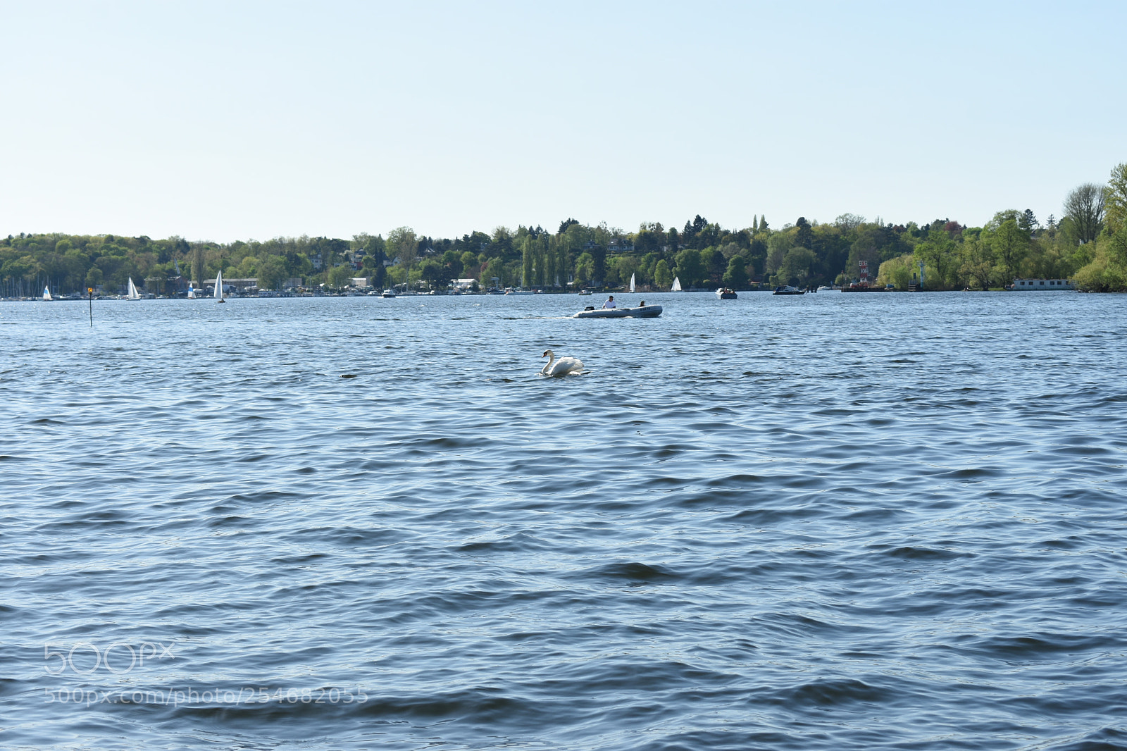 Nikon D3400 sample photo. Death photography