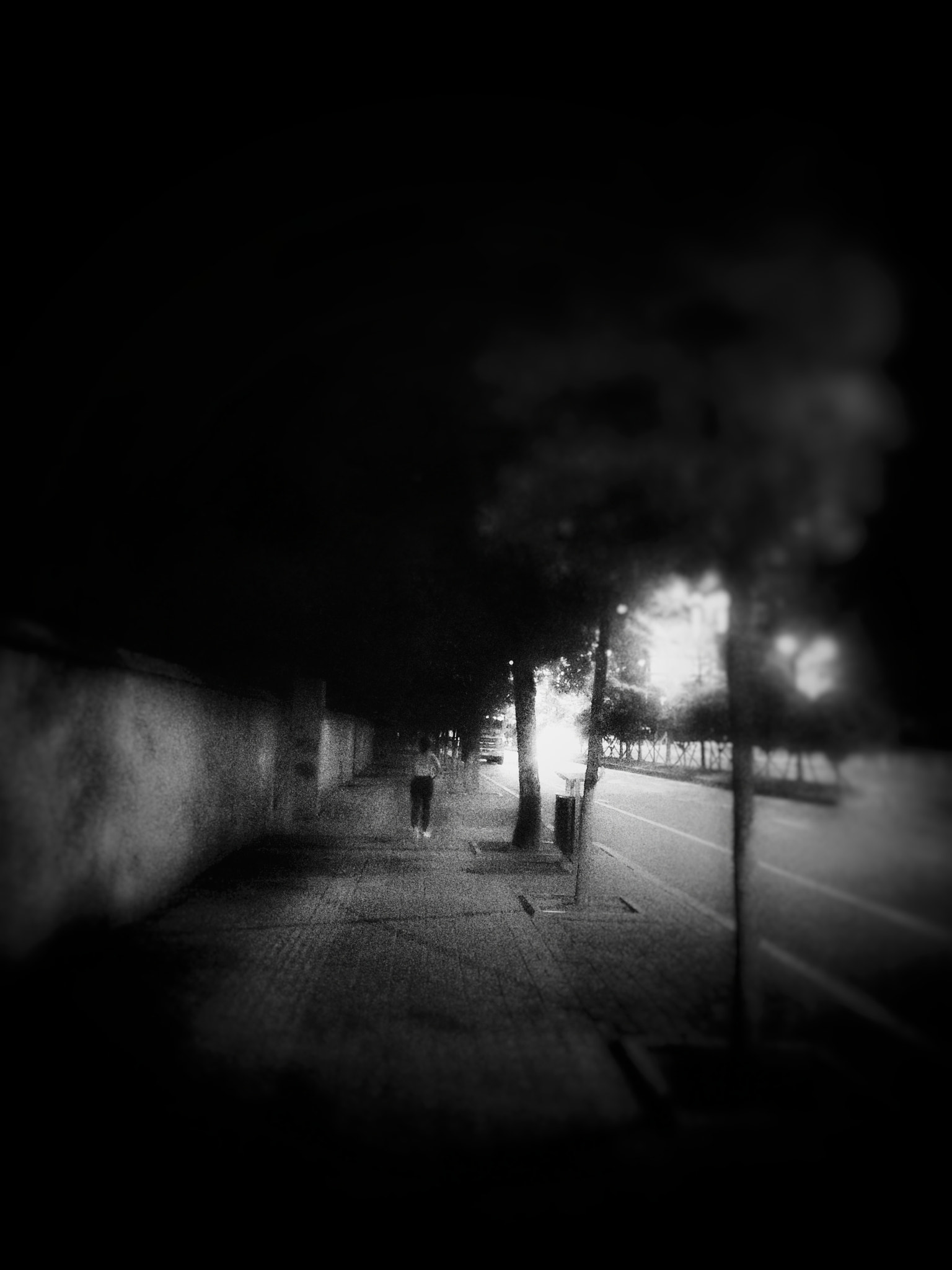 Xiaomi MI 5s sample photo