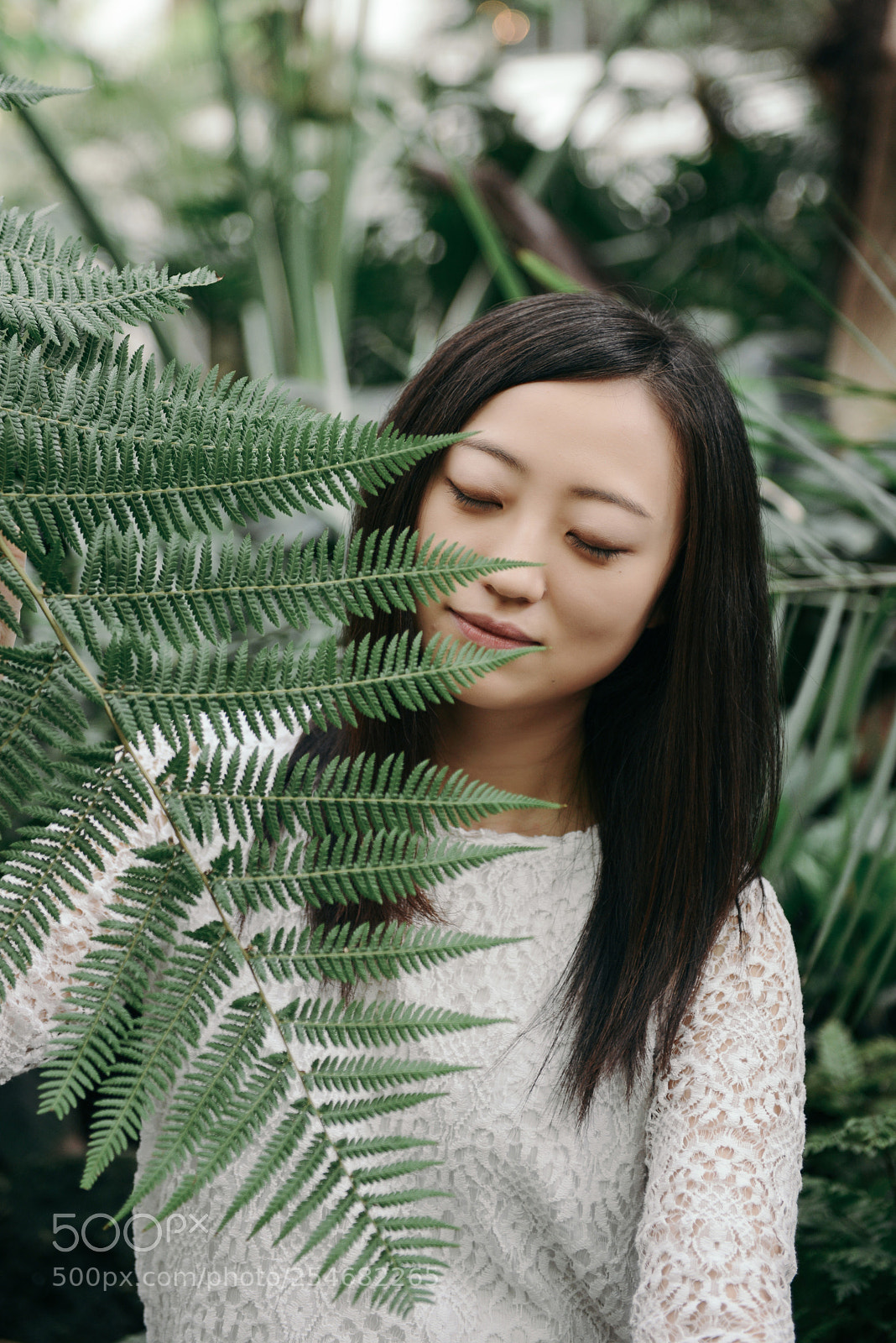 Nikon D800 sample photo. And fern photography
