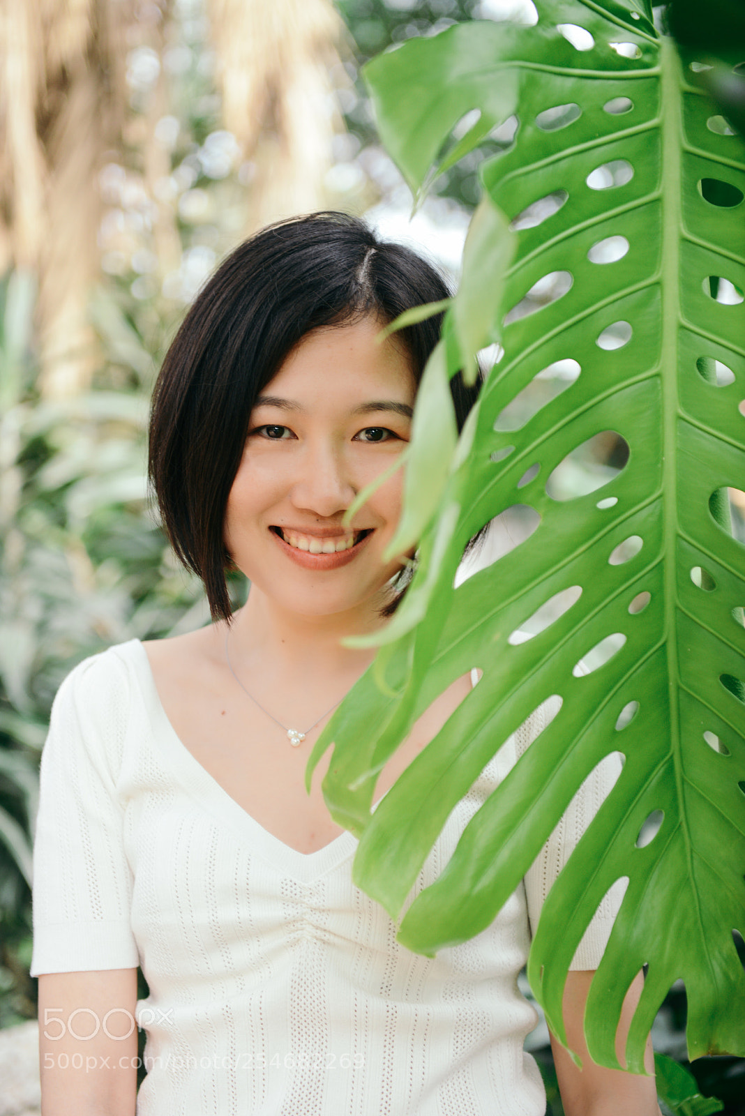 Nikon D800 sample photo. Monstera deliciosa photography