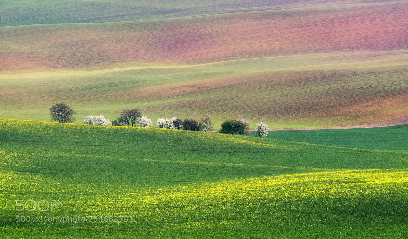 Nikon D810 sample photo. Land of peace photography