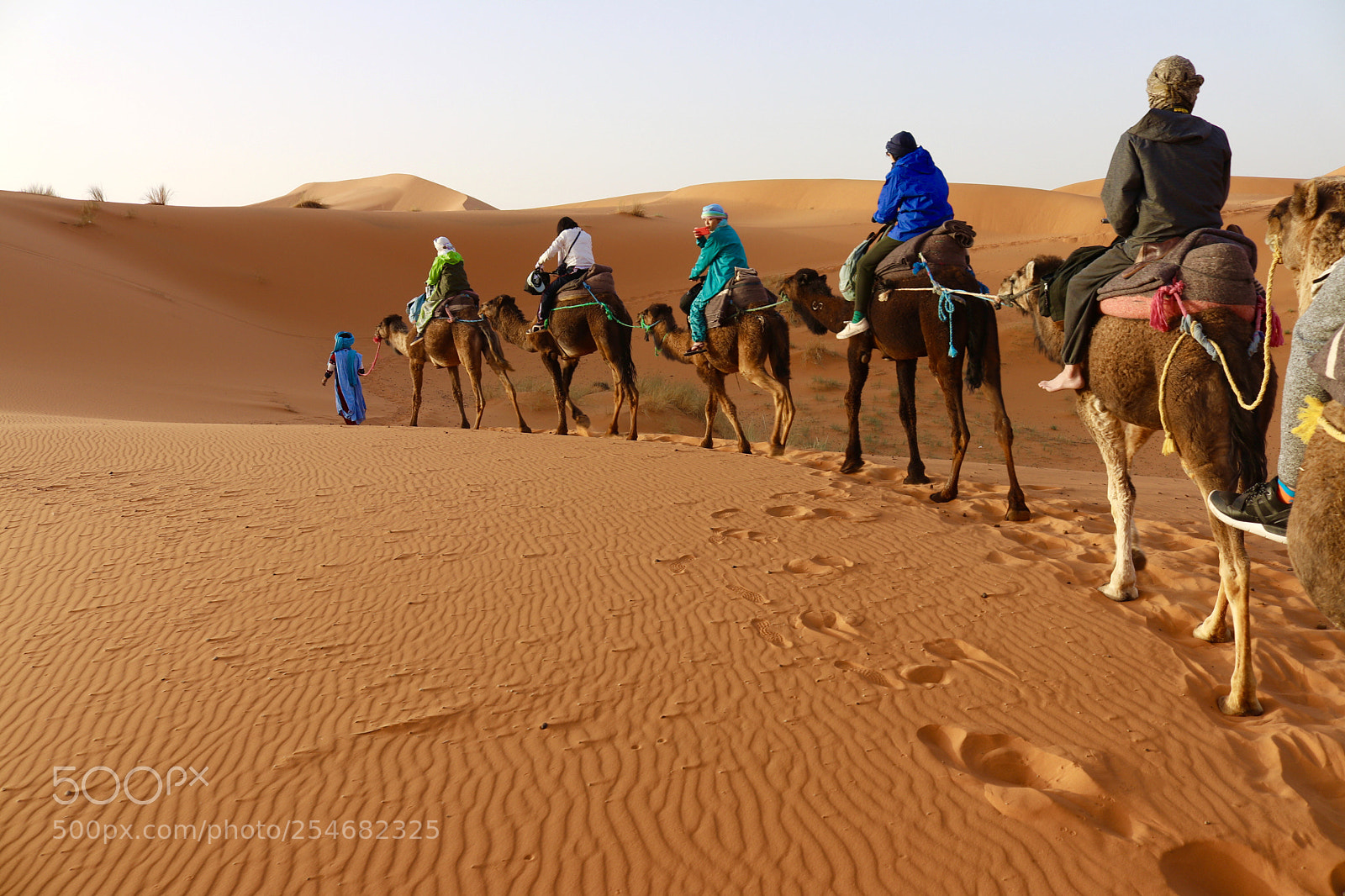 Canon EOS 80D sample photo. Sahara desert photography