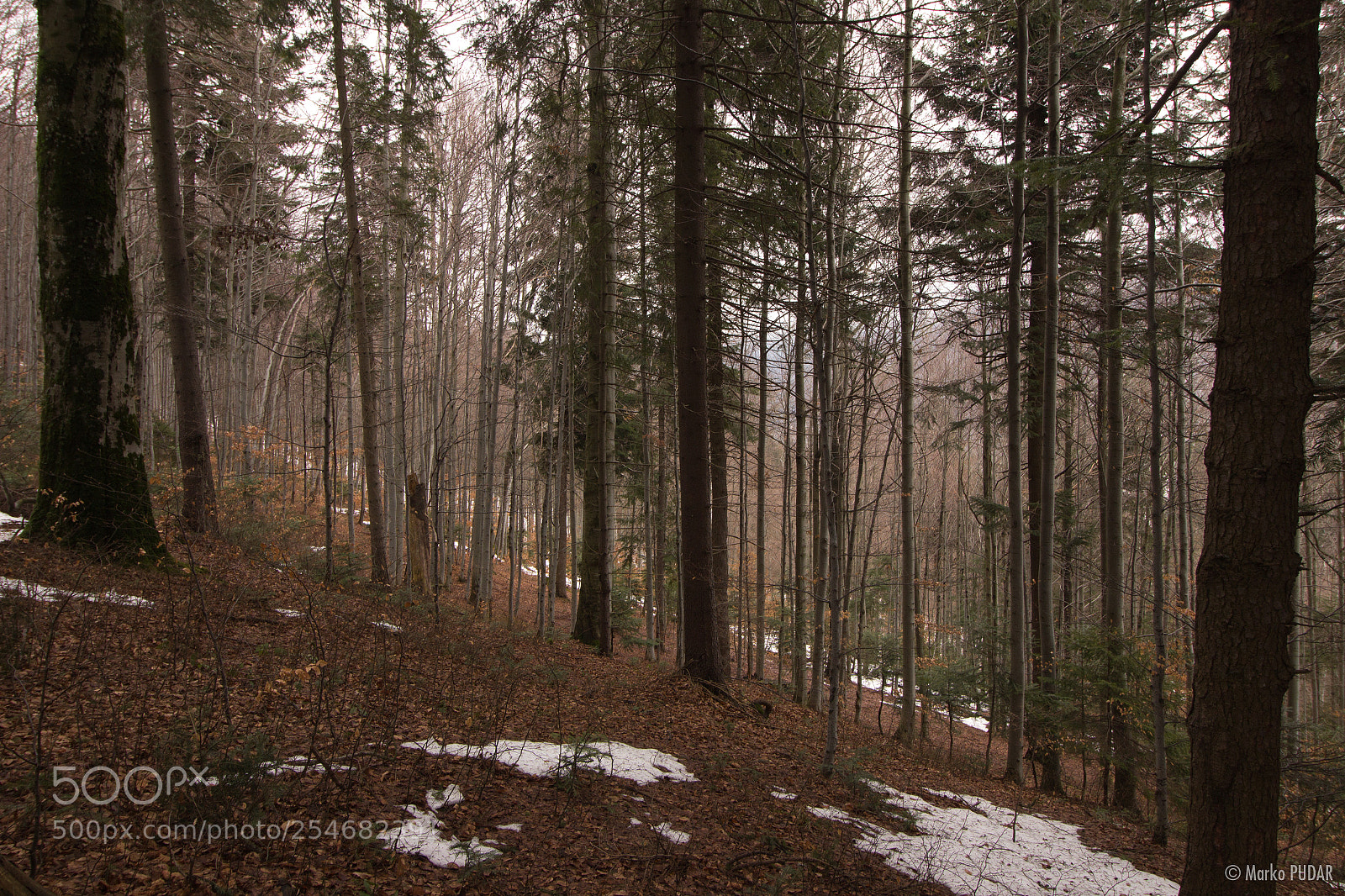 Canon EOS 600D (Rebel EOS T3i / EOS Kiss X5) sample photo. Baiului mountains photography
