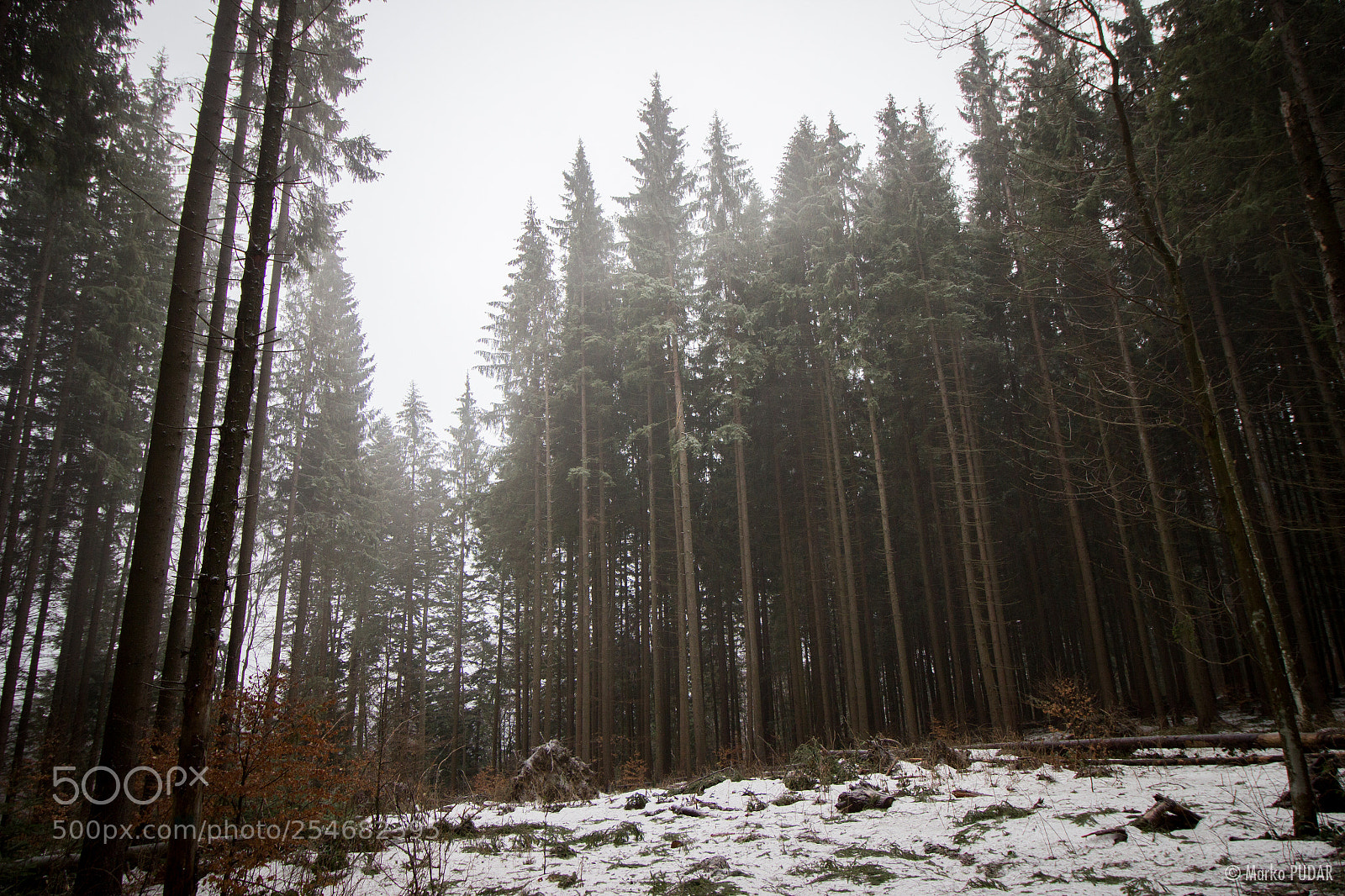 Canon EOS 600D (Rebel EOS T3i / EOS Kiss X5) sample photo. Baiului mountains photography