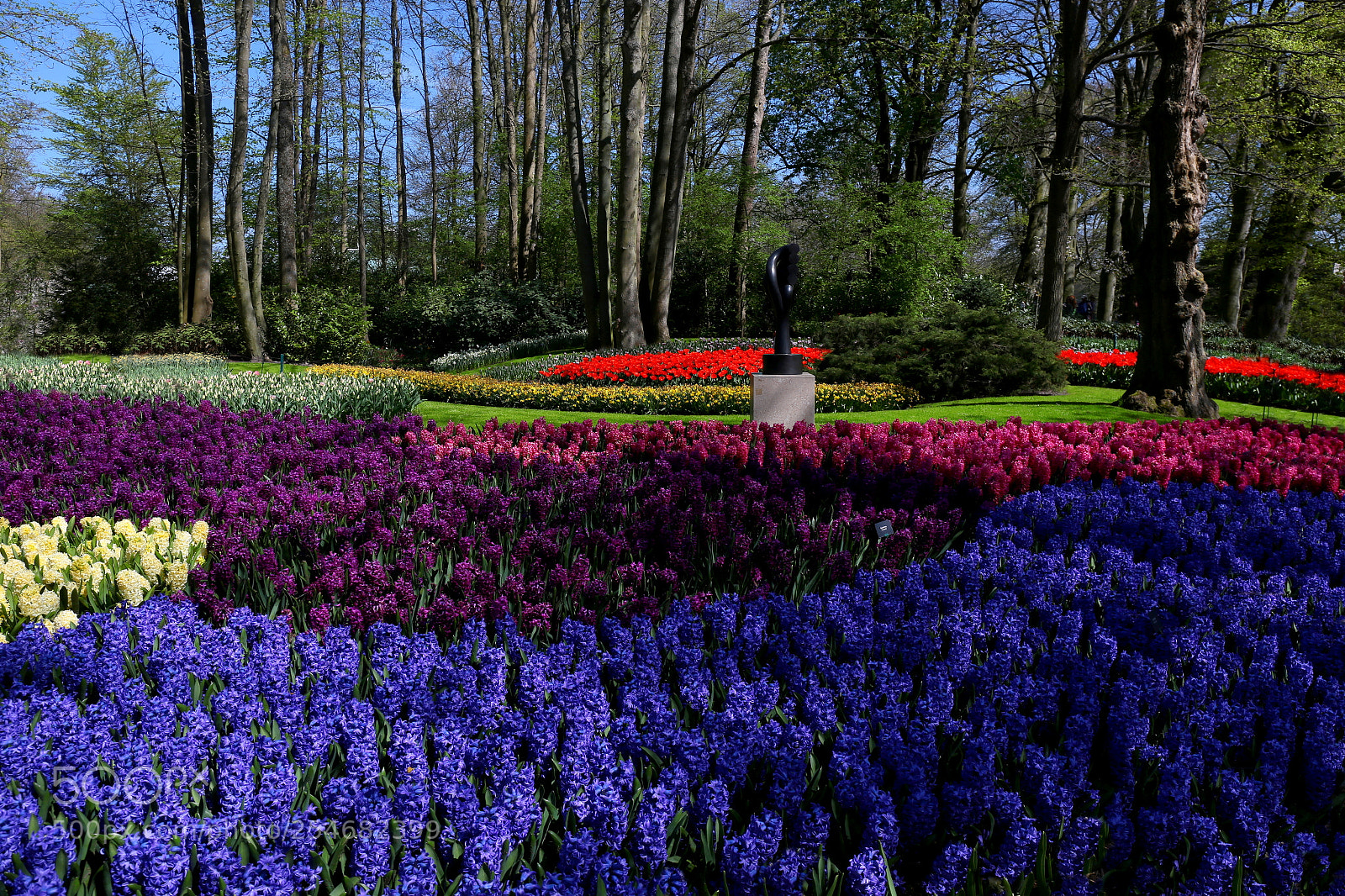 Canon EF 24-70mm F4L IS USM sample photo. Keukenhof photography