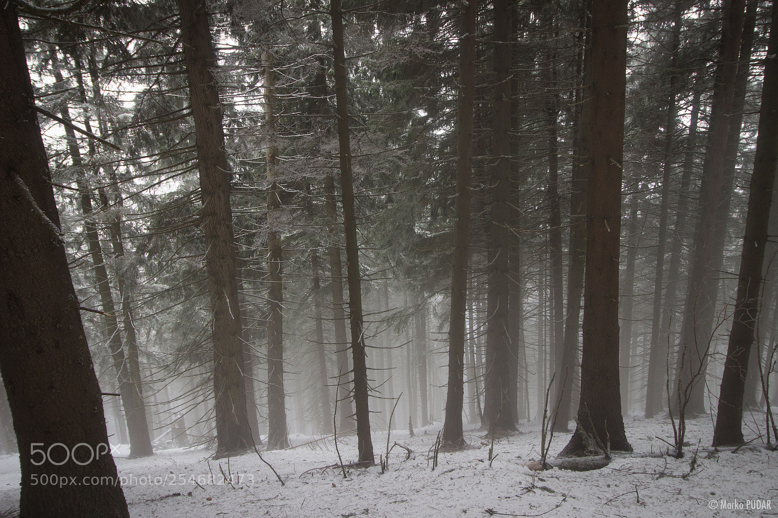 Canon EOS 600D (Rebel EOS T3i / EOS Kiss X5) sample photo. Baiului mountains photography