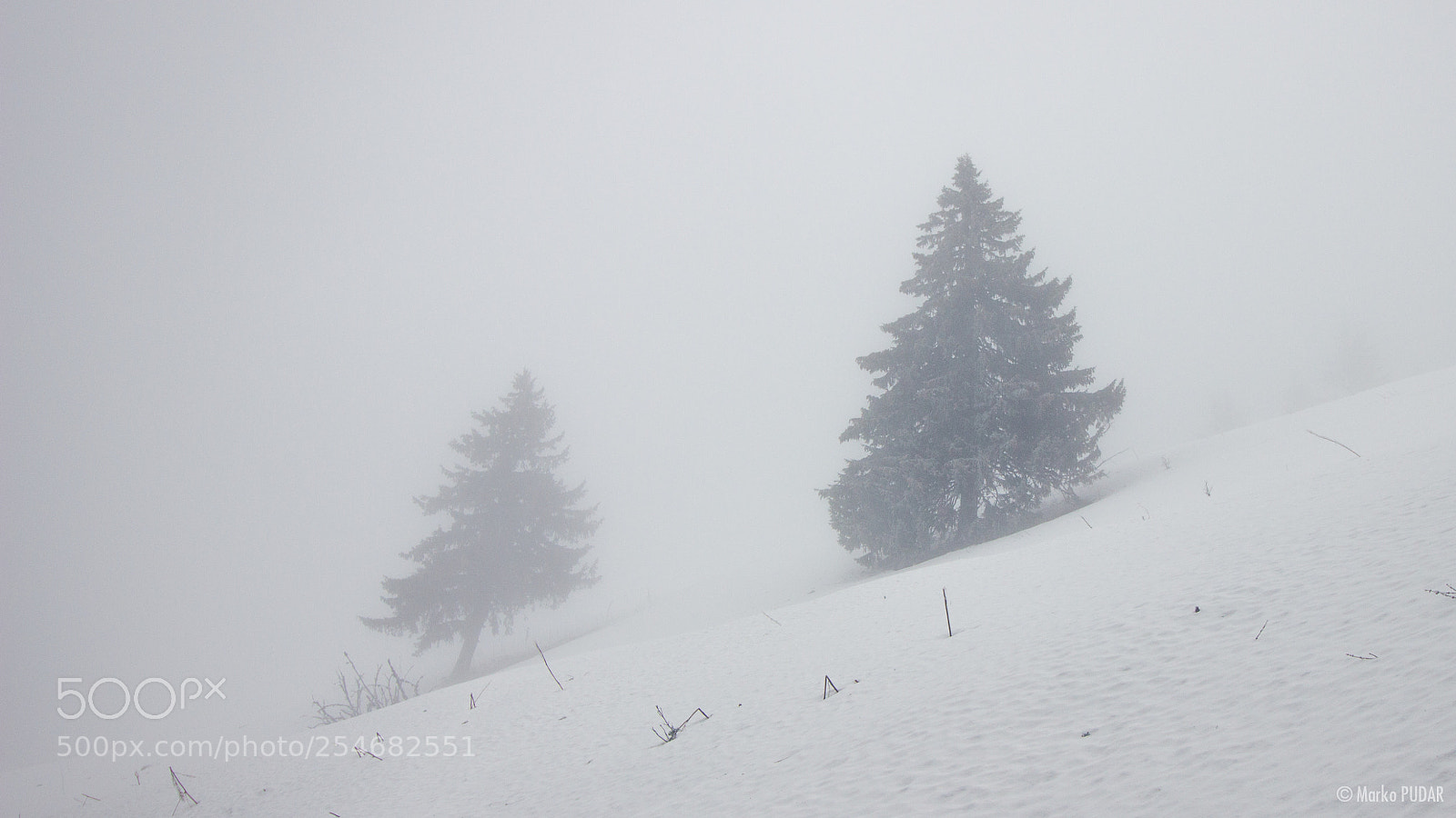 Canon EOS 600D (Rebel EOS T3i / EOS Kiss X5) sample photo. Baiului mountains photography