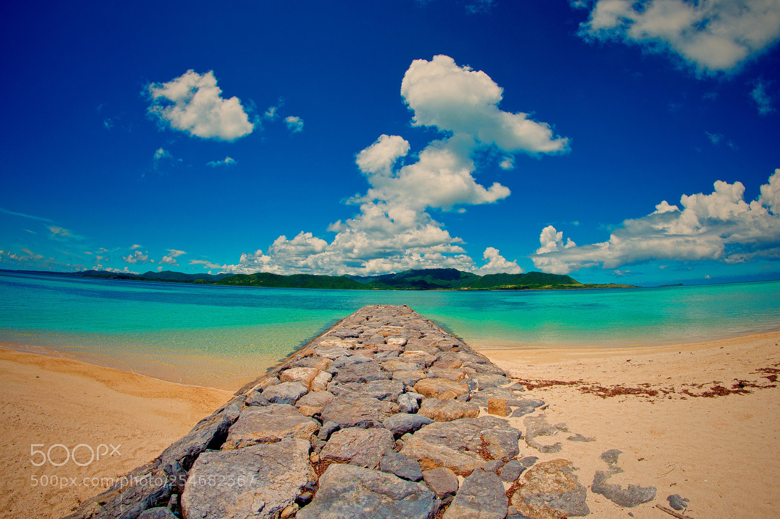 Nikon D3100 sample photo. Kohama island ,okinawa,japan photography