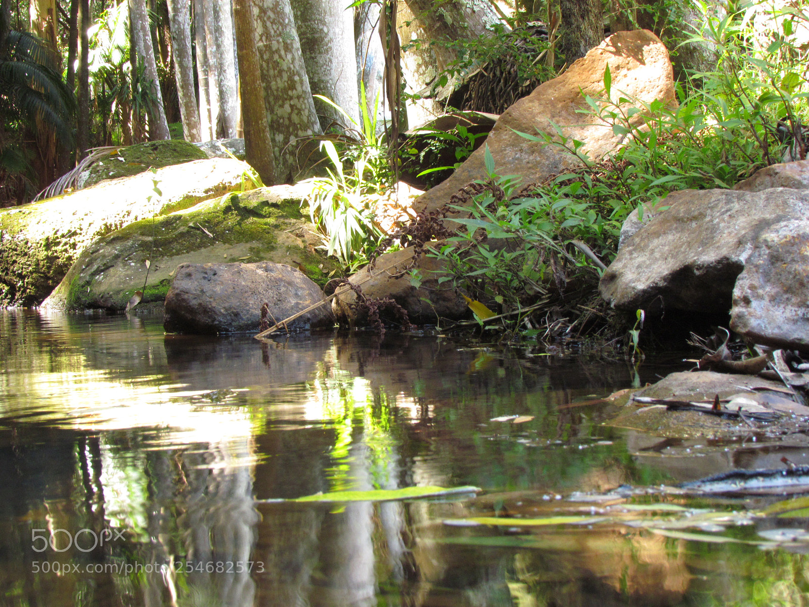 Canon PowerShot SX30 IS sample photo. By the river photography