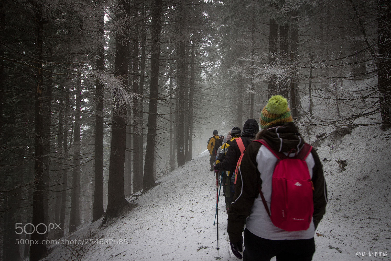 Canon EOS 600D (Rebel EOS T3i / EOS Kiss X5) sample photo. Baiului mountains photography