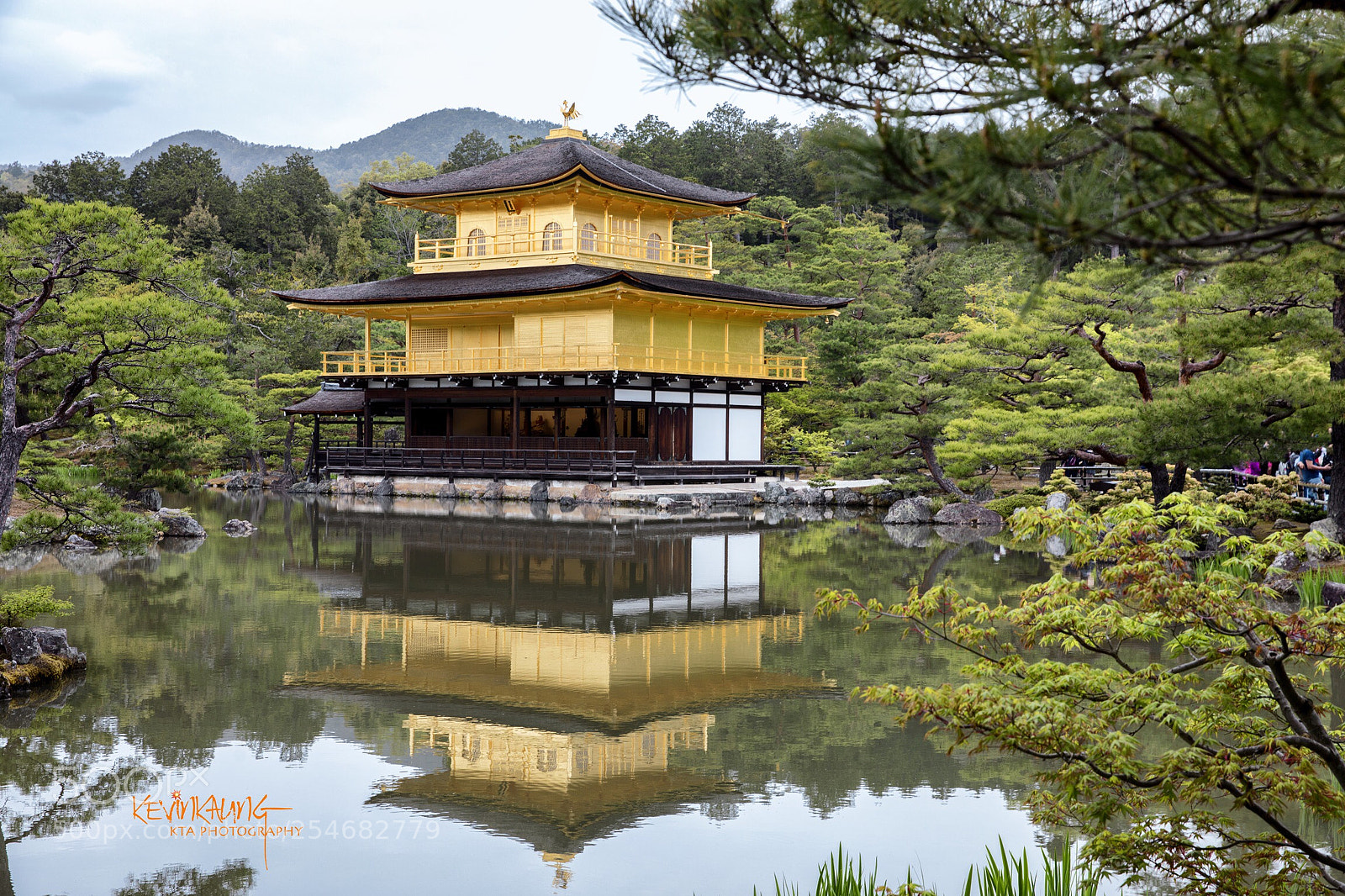 Canon EOS 5D Mark IV sample photo. Untitled photography