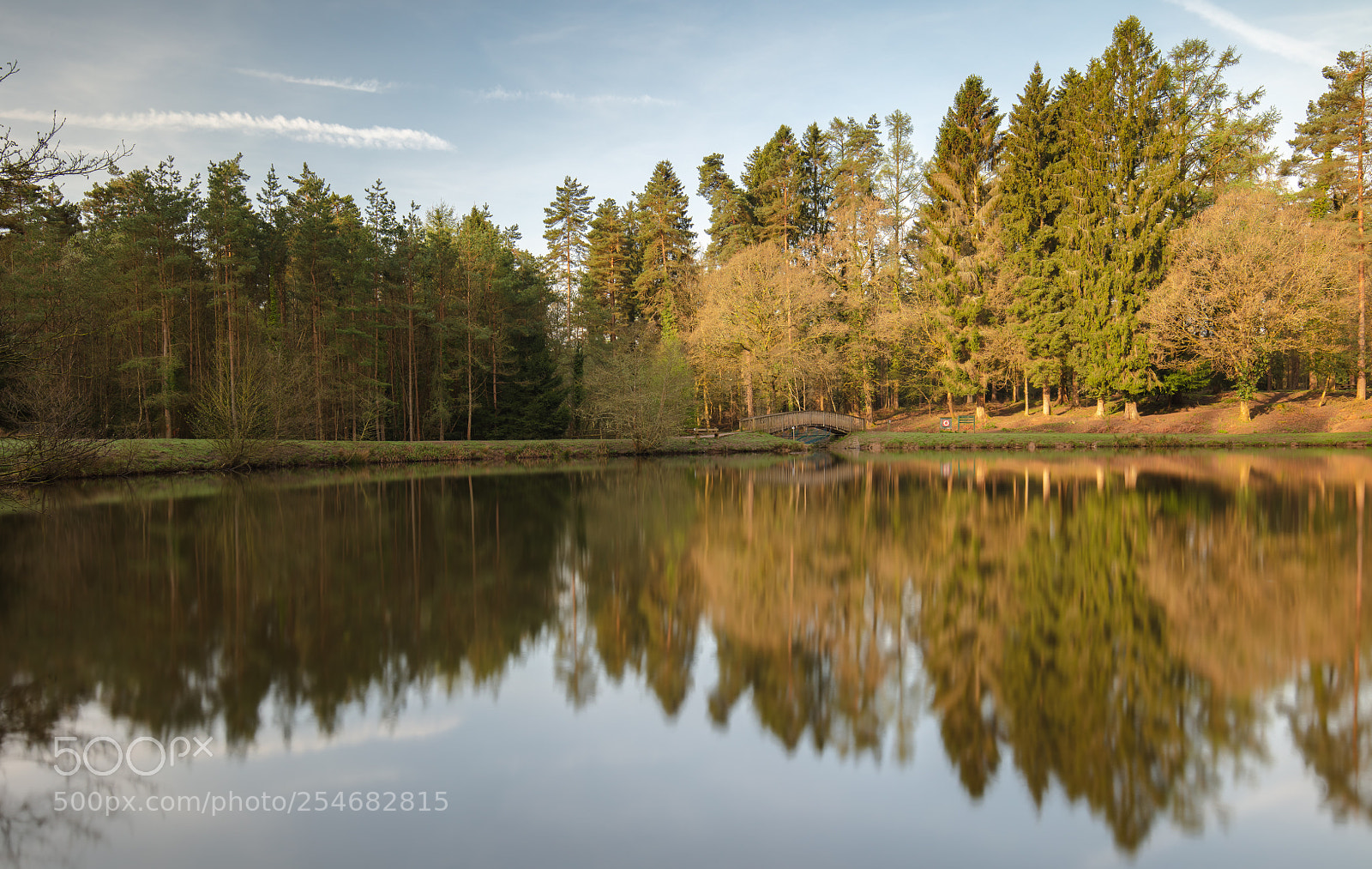 Canon EOS 5DS R sample photo. Malards pike, while you photography