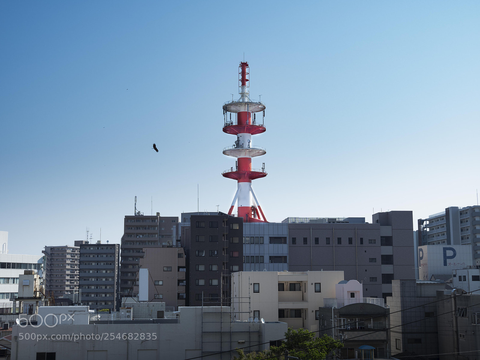 Olympus OM-D E-M1 Mark II sample photo. Tower photography