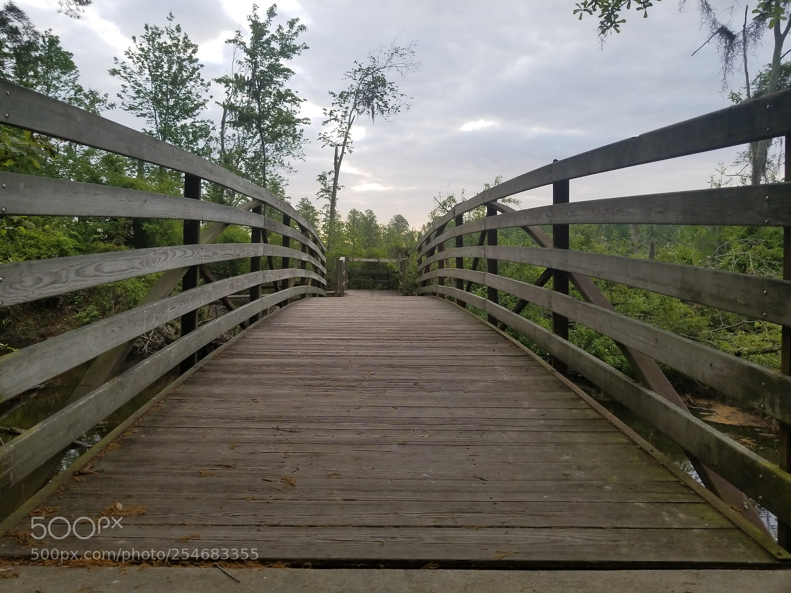 Samsung Galaxy S8+ sample photo. Untitled photography