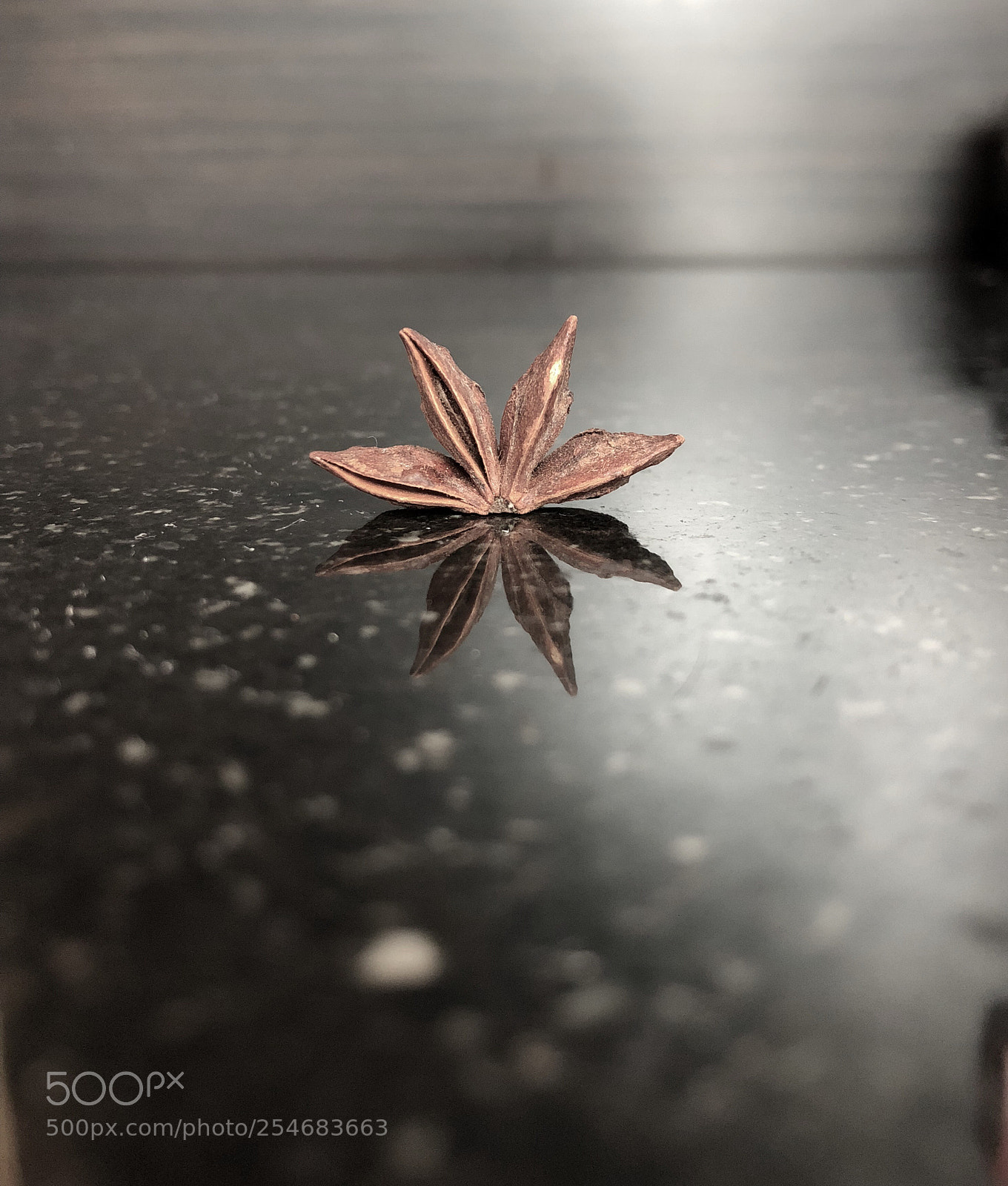 Apple iPhone X sample photo. Untitled photography