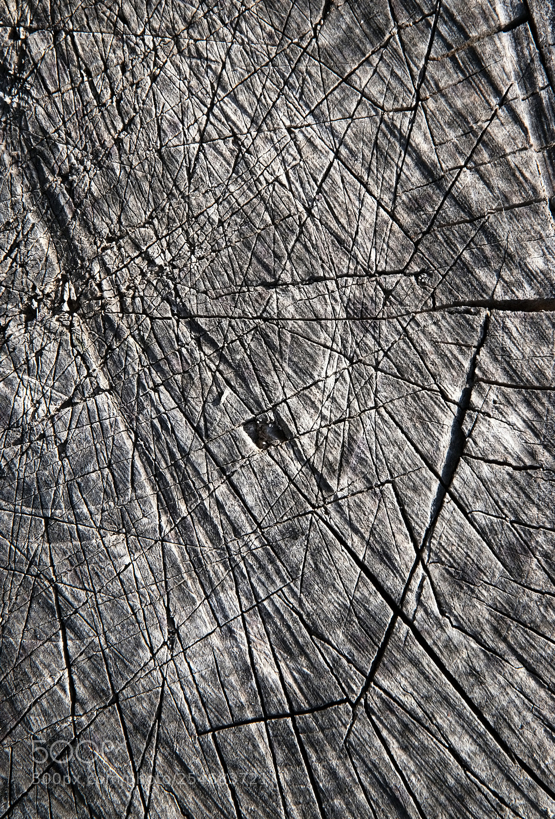 Nikon D5500 sample photo. Abstract close-up scratches on photography