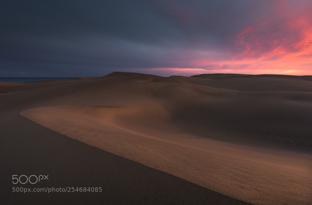 Nikon D810 sample photo. Sunset in the desert photography