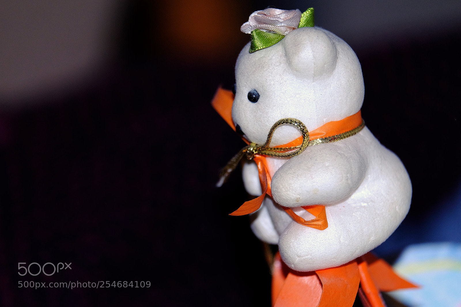 Fujifilm X-T1 sample photo. Embellishment photography