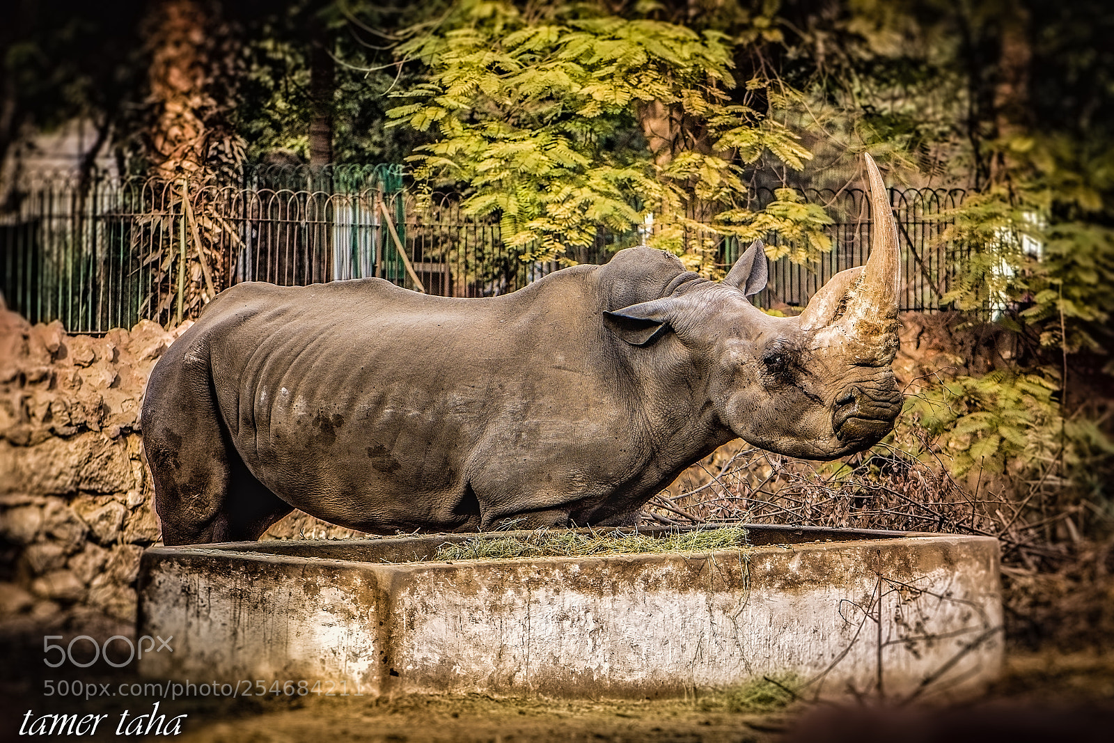 Nikon D7100 sample photo. Edit photography