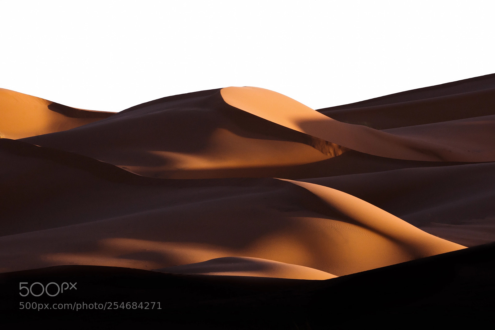 Nikon D610 sample photo. Sahara photography