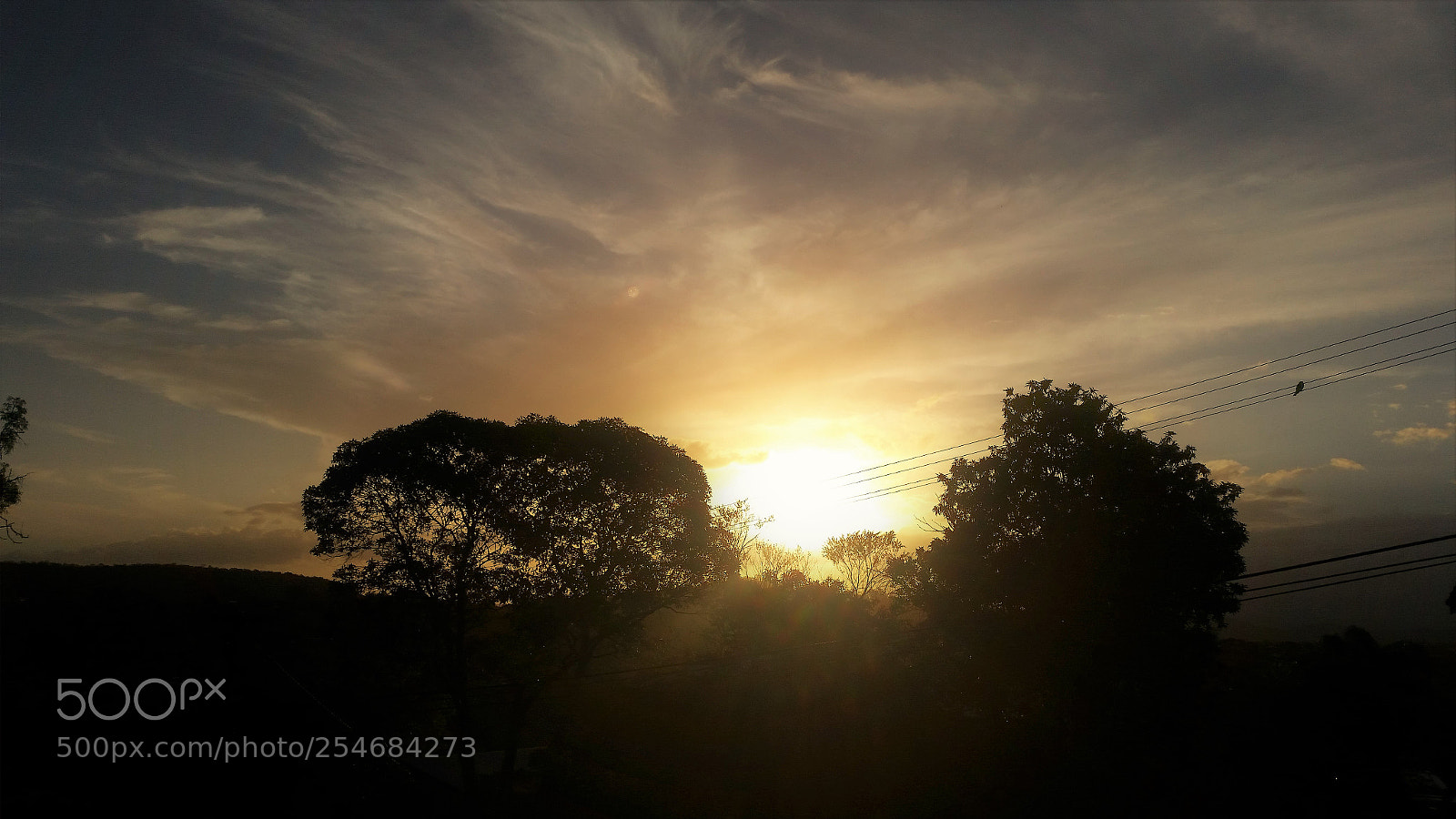 Samsung Galaxy S5 sample photo. Sunset bird photography
