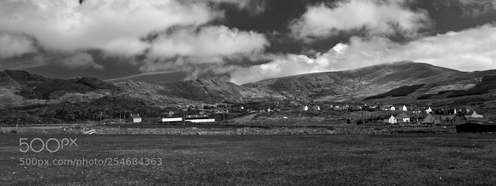 Nikon D200 sample photo. Belonging photography