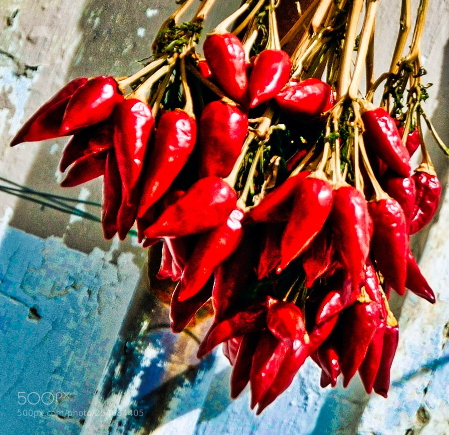 Nikon D200 sample photo. Peppers in the sun. photography