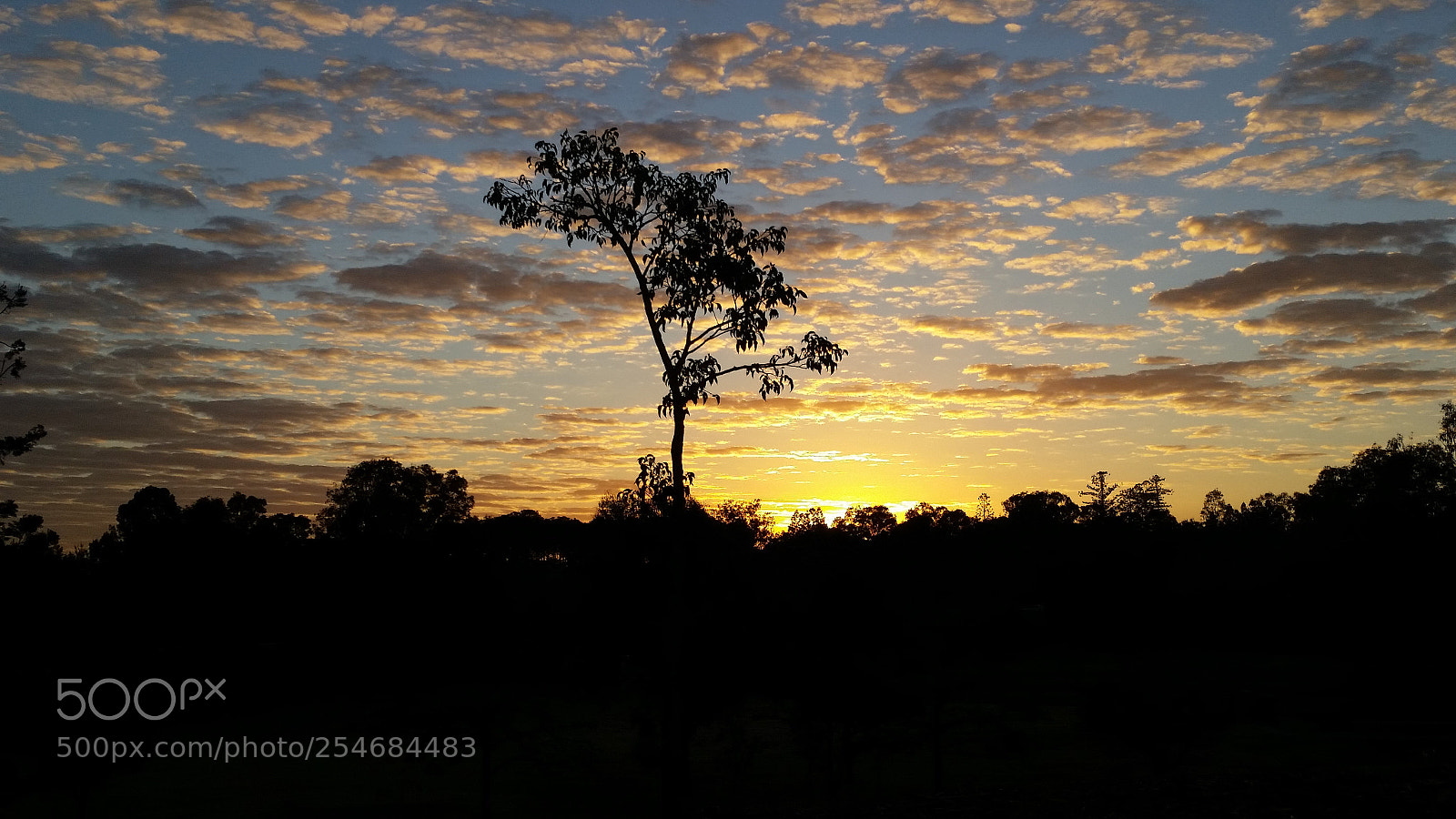 Samsung Galaxy S5 sample photo. Sunrise glory photography