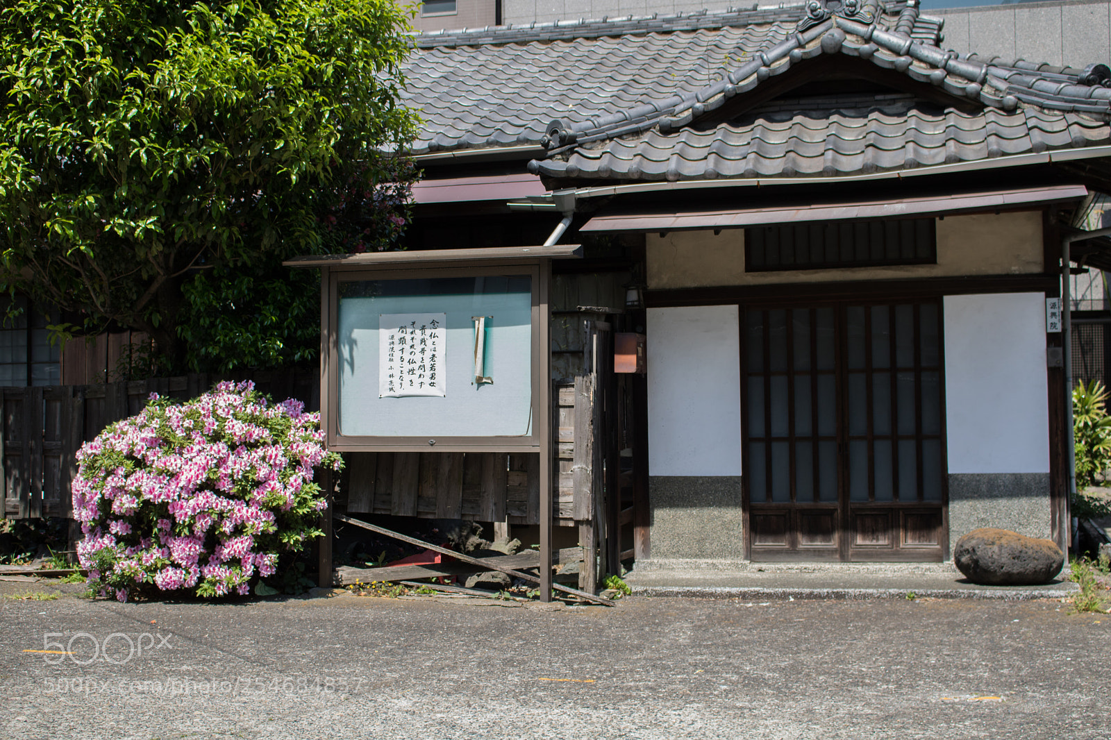 Canon EOS 750D (EOS Rebel T6i / EOS Kiss X8i) sample photo. Neighbors photography