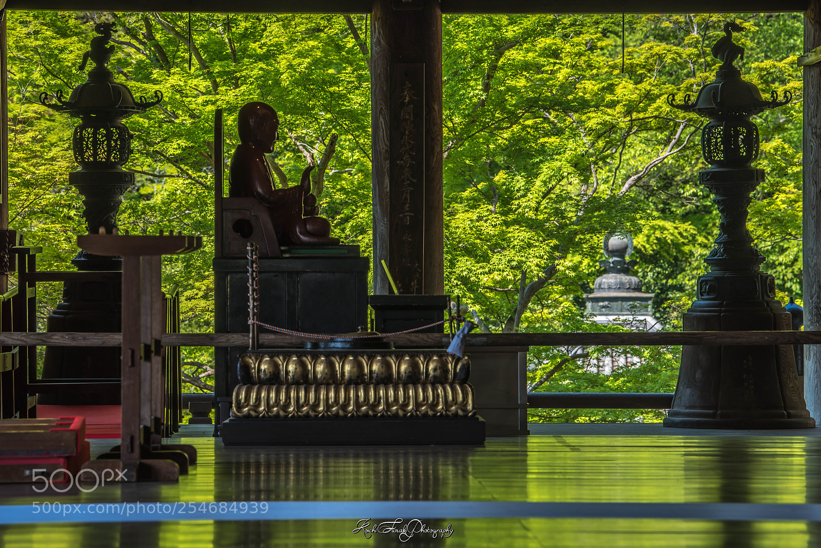 Nikon D810 sample photo. With the fresh green photography