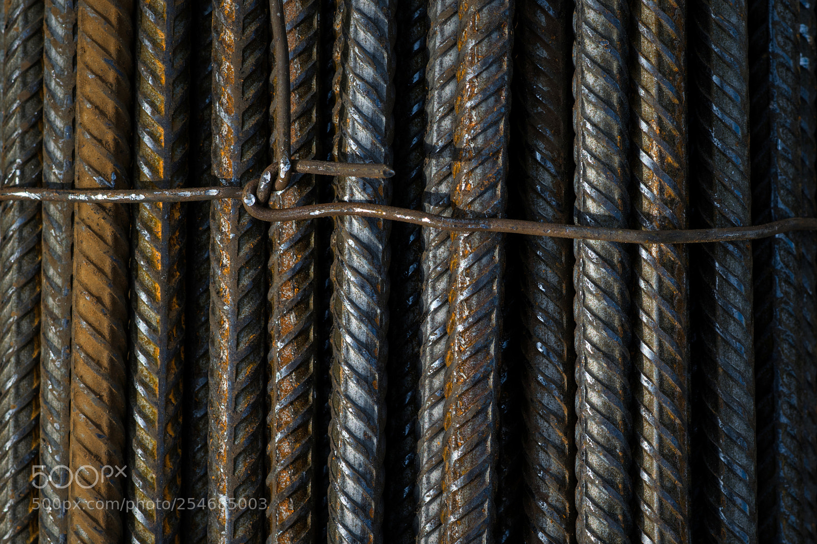 Nikon D5300 sample photo. All tied up photography