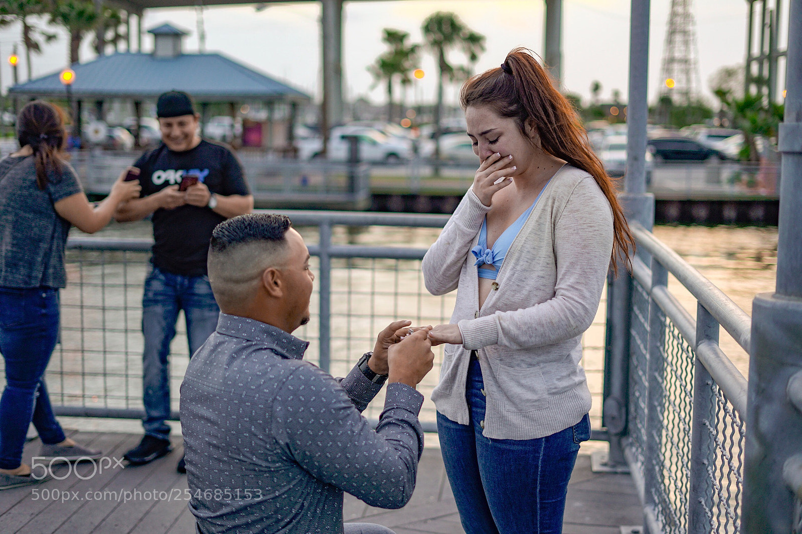 Sony a7 II sample photo. Ask photography