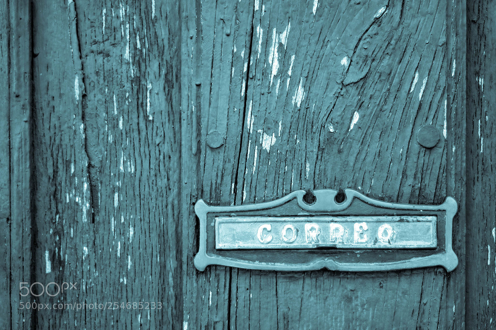 Nikon D3100 sample photo. Px photography